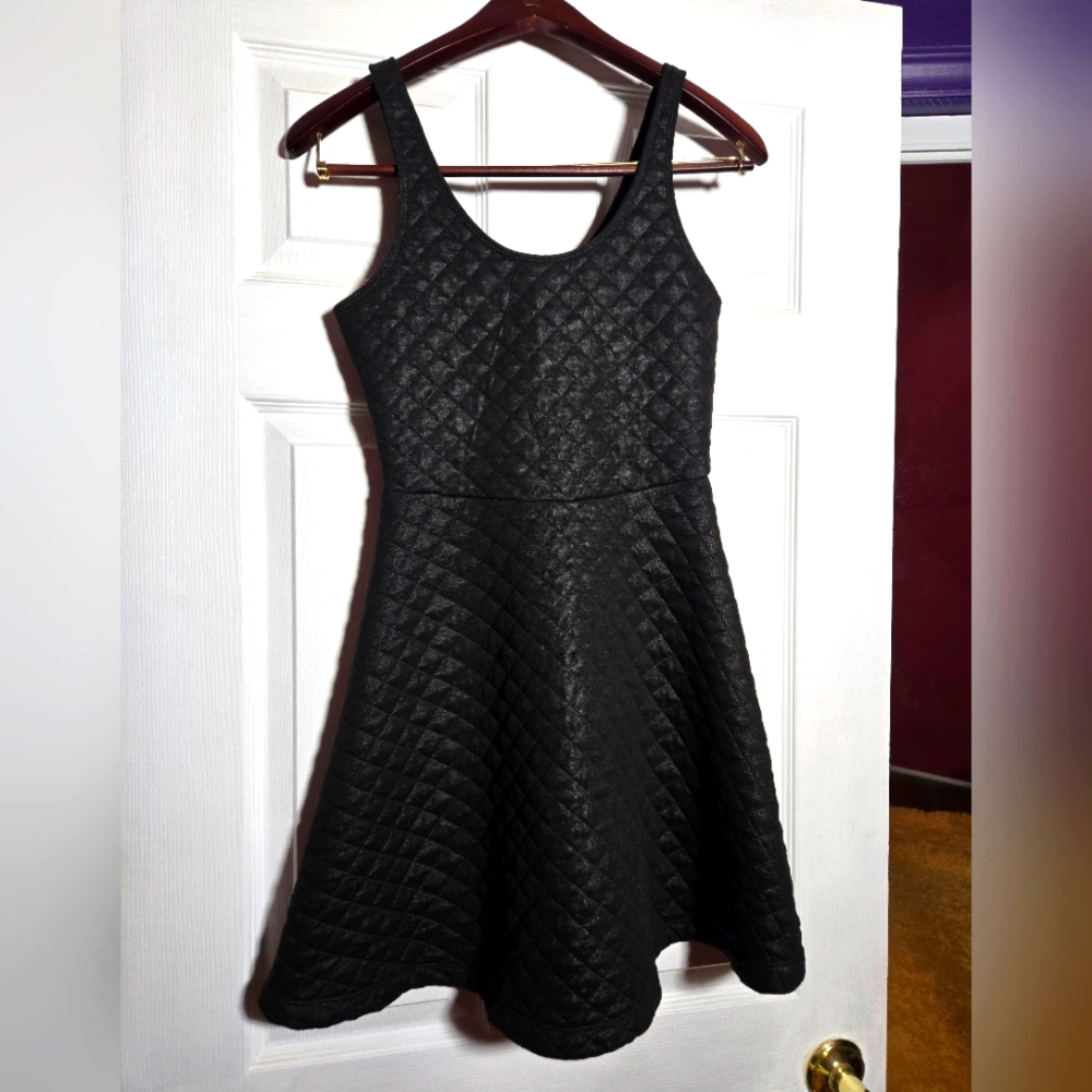 Express Skater Dress